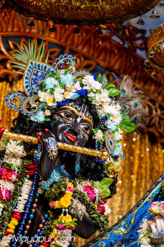 Daily Darshan