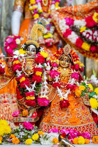 Daily Darshan