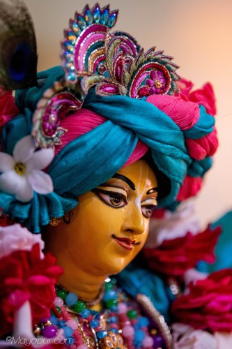 Daily Darshan