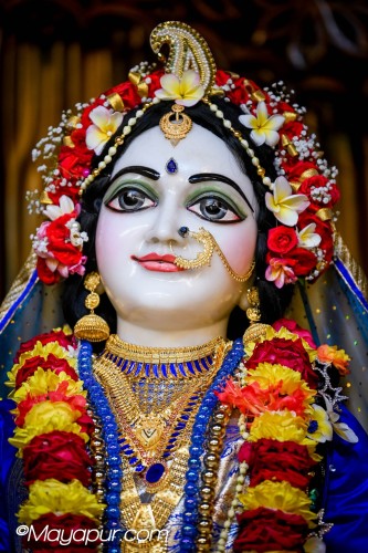 Daily Darshan