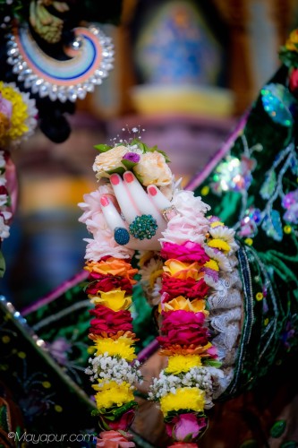 Daily Darshan
