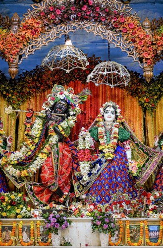 Daily Darshan