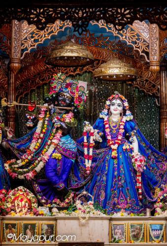 Daily Darshan