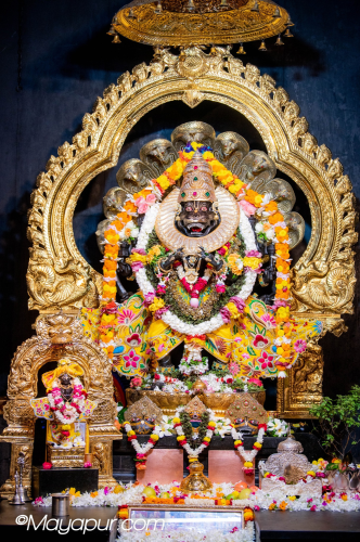Daily Darshan