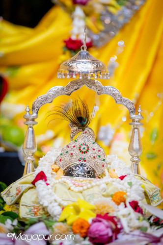 Daily Darshan