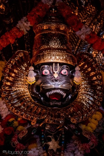 Daily Darshan