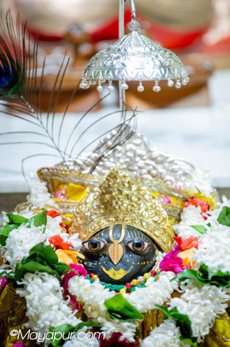 Daily Darshan