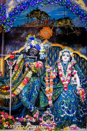 Daily Darshan