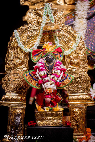 Daily Darshan
