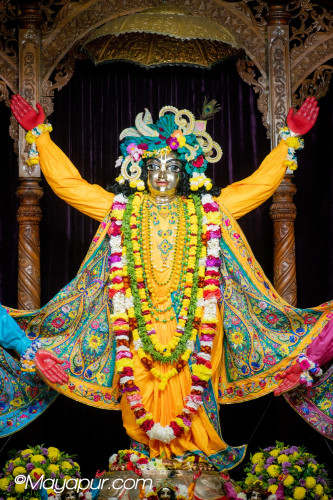 Daily Darshan