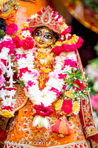 Daily Darshan