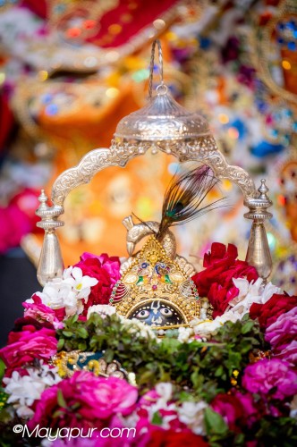 Daily Darshan
