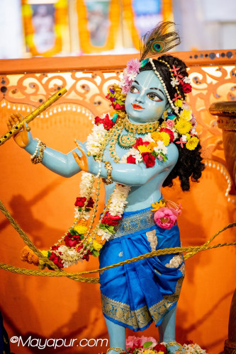 Daily Darshan