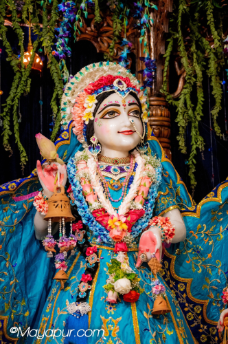 Daily Darshan