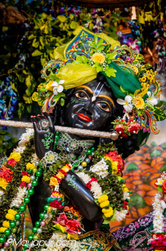 Daily Darshan