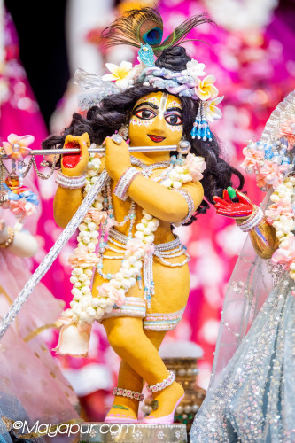 Daily Darshan