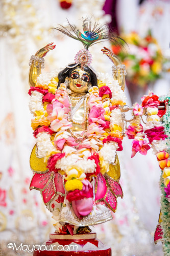Daily Darshan