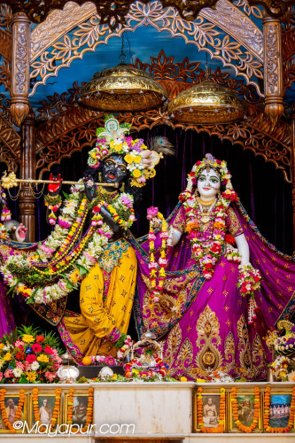 Daily Darshan