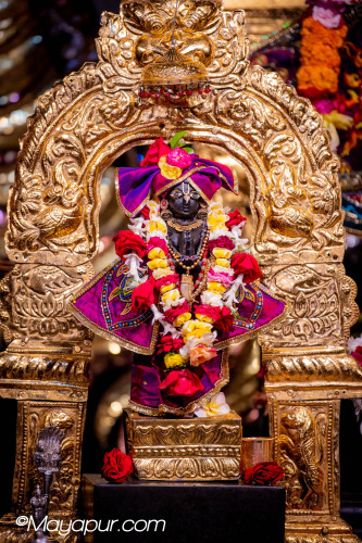 Daily Darshan