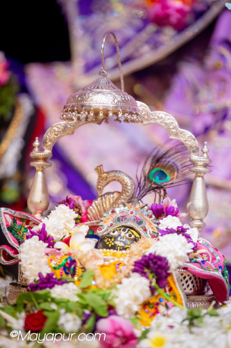 Daily Darshan