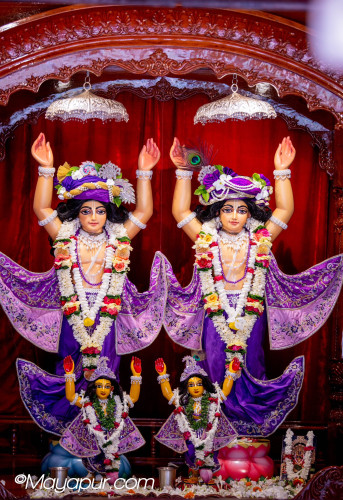 Daily Darshan