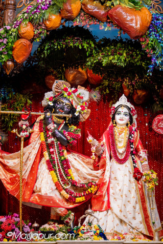 Daily Darshan