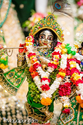 Daily Darshan