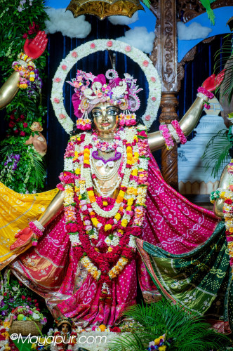 Daily Darshan