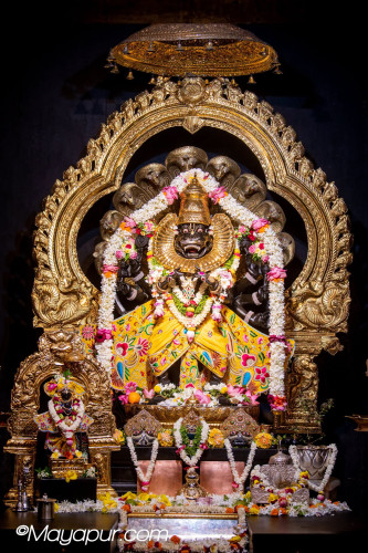 Daily Darshan