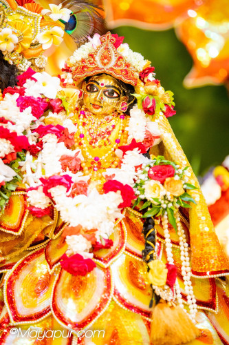 Daily Darshan