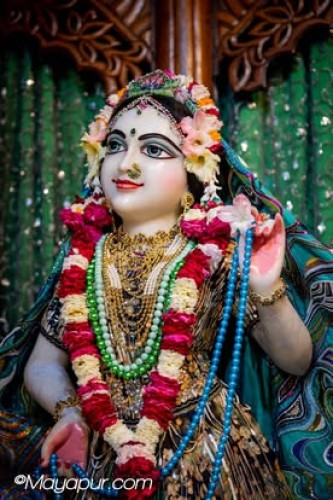 Daily Darshan