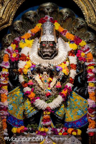 Daily Darshan
