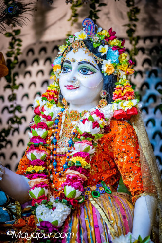 Daily Darshan