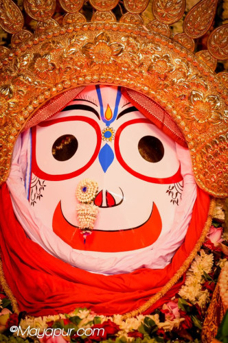 Daily Darshan