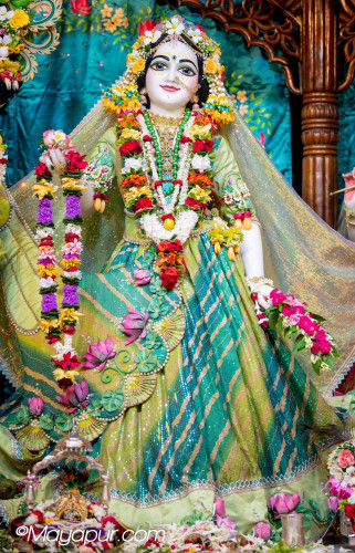 Daily Darshan