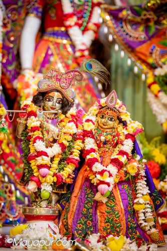 Daily Darshan