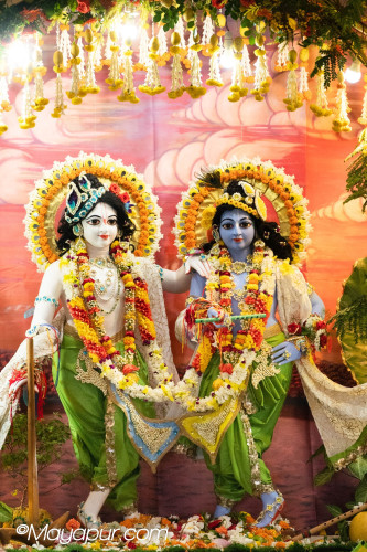 Daily Darshan