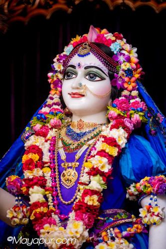 Daily Darshan