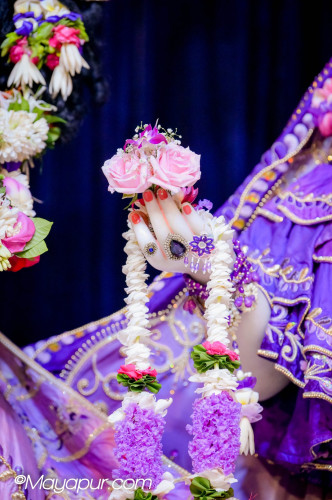 Daily Darshan