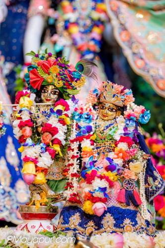 Daily Darshan
