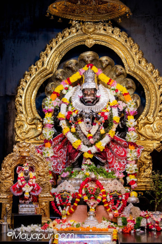 Daily Darshan