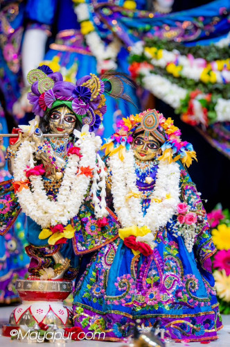 Daily Darshan