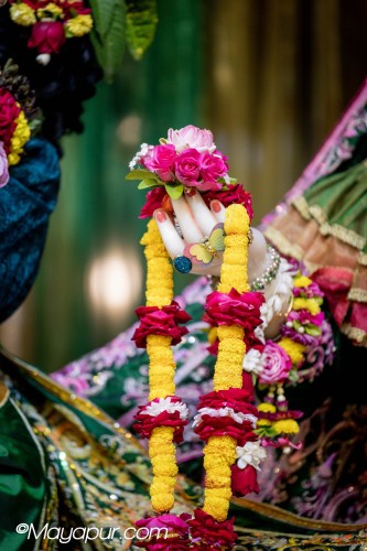 Daily Darshan