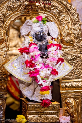 Daily Darshan