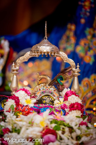 Daily Darshan