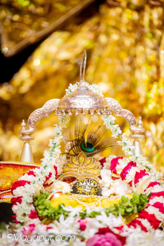 Daily Darshan