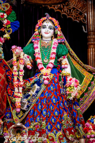 Daily Darshan