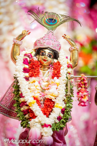 Daily Darshan