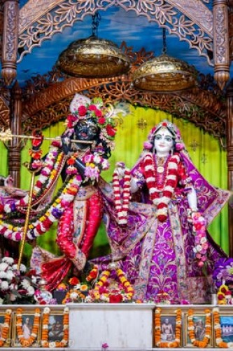Daily Darshan