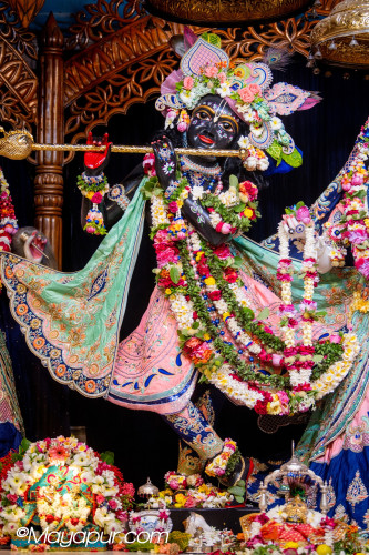 Daily Darshan
